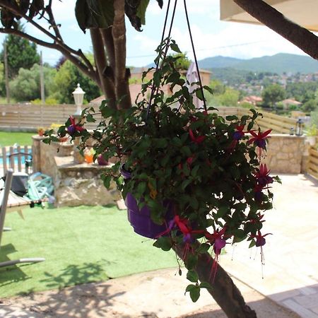 Apartament Vall De Montserrat Castellbell i Vilar Екстер'єр фото